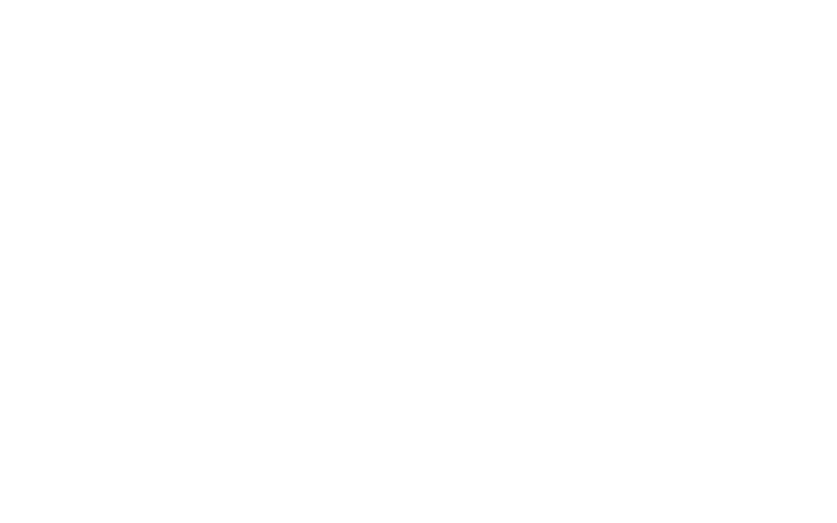 Savio client logo